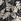 White/Black Leaf - Normaali istuvuus - Short Sleeve Cotton Texta Print Shirt