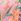 Pink Floral V&a | Love & Roses Placement Printed Tulip Sleeve Belted Pleated Midi Dress