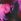 Pink Tie Dye Long Sleeve Ribbed Top (3-16yrs)