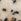 Ecru/dierenprint - Baby-jack van zacht fleece (0 mnd-2 jr)