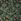 William Morris At Home Celandine 10m Wallpaper