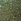William Morris At Home Clover 10m Wallpaper