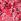 Pink Roman Ditsy Floral Keyhole Twist Dress