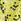 Lime Green Roman Ditsy Floral Keyhole Twist Dress
