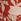Red Weird Fish Dilsha Printed Midi Dress
