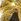 Lumineo Set Of 3 Gold Led Glass Christmas Tree Decorations