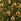 Decoris Set Of 45 Glass Christmas Baubles