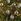 Decoris Set Of 45 Glass Christmas Baubles