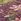 Clarke & Clarke Passiflora Blush Washable Rug