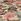 Clarke & Clarke Passiflora Blush Washable Rug