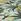 Clarke And Clarke Toucan Antique Washable Rug