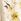 Yellow Phase Eight Azalea Floral Dress