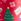Red/White/Purple/Green Christmas Print Printed Leggings (3-16yrs)