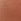 Nude Triumph Signature Sheer Maxi Briefs