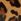 Brown Lauren Ralph Lauren Farrah Soft Leopard Haircalf Shoulder Bag