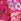 Roz - V&a | <span translate="no">Love & Roses</span> Placement Imprimeu Flutter Sleeve Midi Rochie