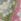 Catherine Lansfield Crochet Print Blanket Throw