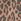 Leopard Print Denim Skort (3-16yrs)