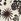 Natural Sun Print Yours Curve Crinkle Culottes