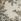 Ecru Tapestry Floral Authentic High Rise City Straight Leg Jeans
