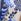 Navy Blue Paisley V&a | Love & Roses Printed V Neck Belted Mini Dress