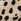 Tan Brown Leopard Print Baby Bloomer Romper With Tights Set (0mths-3yrs)