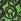 Black/Lime Green - Gumowe kalosze