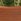 Patch Susie Snake Plant Large In Blue Ceramic Glazed Pot