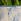 Patch Pippa Peace Lily Fracture Pot