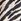 Zebra Print Elasticated Pull On Shorts