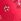 Pink Victoria's Secret Pink Hibiscus Embroidery Bra