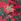 Fleece Christmas Duvet Cover And Pillowcase Set