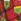 Red Brussels Sprouts Regular Novelty Christmas Cotton Rich Boxers