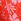 Red Hibiscus Victoria's Secret Pink Knickers