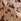 Extra Wide 10m Christmas Wrapping Paper