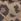 Brown Leopard Print Adidas Breaknet Sleek Trainers