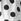 White Polka Dot Cap Short Sleeve T-shirt
