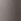 Beards & Daisies Pink Orchid & Earthenware Pot