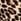 Leopard Brown Victoria's Secret Thermal Henley Long Pyjama Set