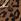 Leopard Faux Suede Lipsy Hardware Trim Detail Slingback Stiletto High Heel Court Shoe