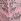 Boardwalk Pink Victoria's Secret Pink Floral Lace Knickers