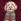 Burgundy Red Dog Motif Friends Like These Borg Cosy Mule Slippers