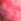 Pink Hibiscus Victoria's Secret Pink Bra