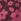 Purple Regatta Hot Shot Fleece