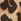 Brown Leopard Love & Roses Fur Collared Wrap Coat
