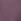 Purple Grape Regular Fit Essential Crew Neck Cotton T-shirt