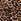 Leopard Brown Victoria's Secret Knickers