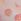 Pink Seashell Print Victoria's Secret Pink Logo Mesh Knickers