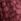 Burgundy Red Love & Roses Textured Animal Jersey Tie Neck Top