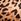 Leopard Brown Victoria's Secret Bombshell Shine Strap Bra